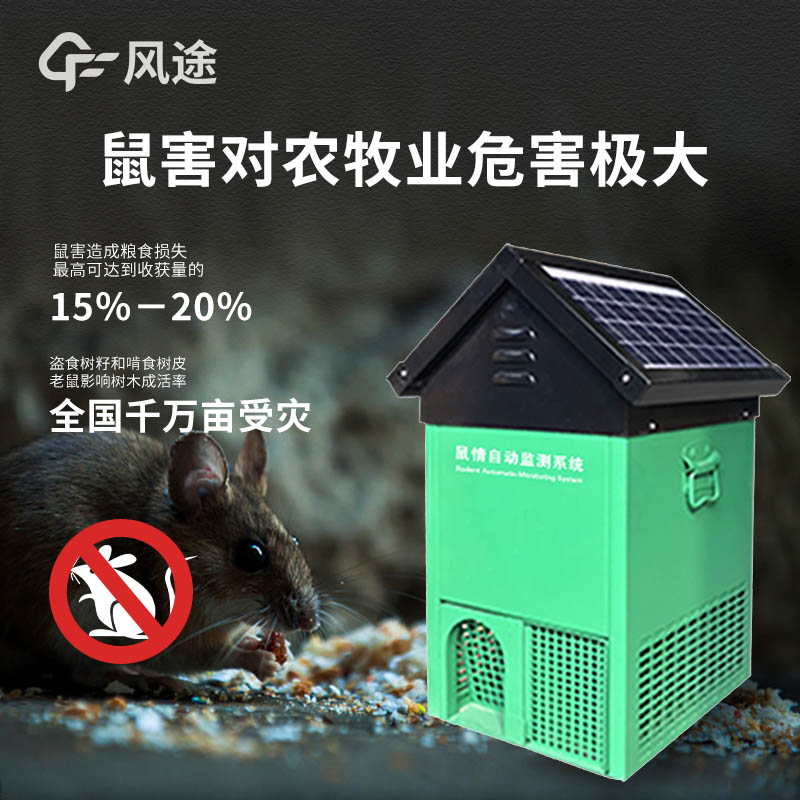 鼠情.jpg